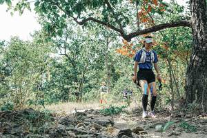 BIB: 
                            <button type="button" onclick="openModal(26096939)" class="btn btn-primary btn-sm float-right btn-popup" data-toggle="modal" data-target=".modal-high-quality">
                        <i class="fas fa-shopping-cart"></i> Add to Cart
                    </button>
                                            <button type="button" onclick="isThisMe(26096939, true)" class="btn btn-success btn-sm float-right btn-popup btn-isme hidden" data-toggle="tooltip" data-placement="bottom" title="นี่คือรูปของคุณใช่ไหม คลิกที่นี่เพื่อเอาเข้าอัลบั้ม">
                        <i class="fas fa-plus"></i> Add to album
                    </button>
                    <button type="button" onclick="isThisMe(26096939, false)" class="btn btn-warning btn-sm float-right btn-popup btn-isnotme hidden">
                        <i class="fas fa-ban"></i> Remove from album
                    </button>